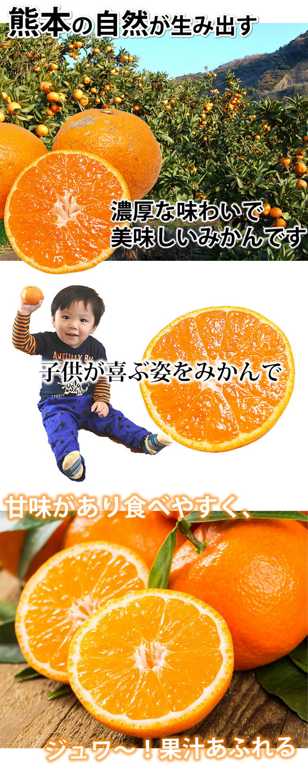 【ふるさと納税】 訳あり みかん 10kg ご自宅用 サイズ不選別 蜜柑 柑橘 果物 くだもの フルーツ 果実 おやつ 露地栽培 熊本市 国産 冷蔵 送料無料【2025年10月上旬～2026年3月上旬迄発送予定】 サムネイル3