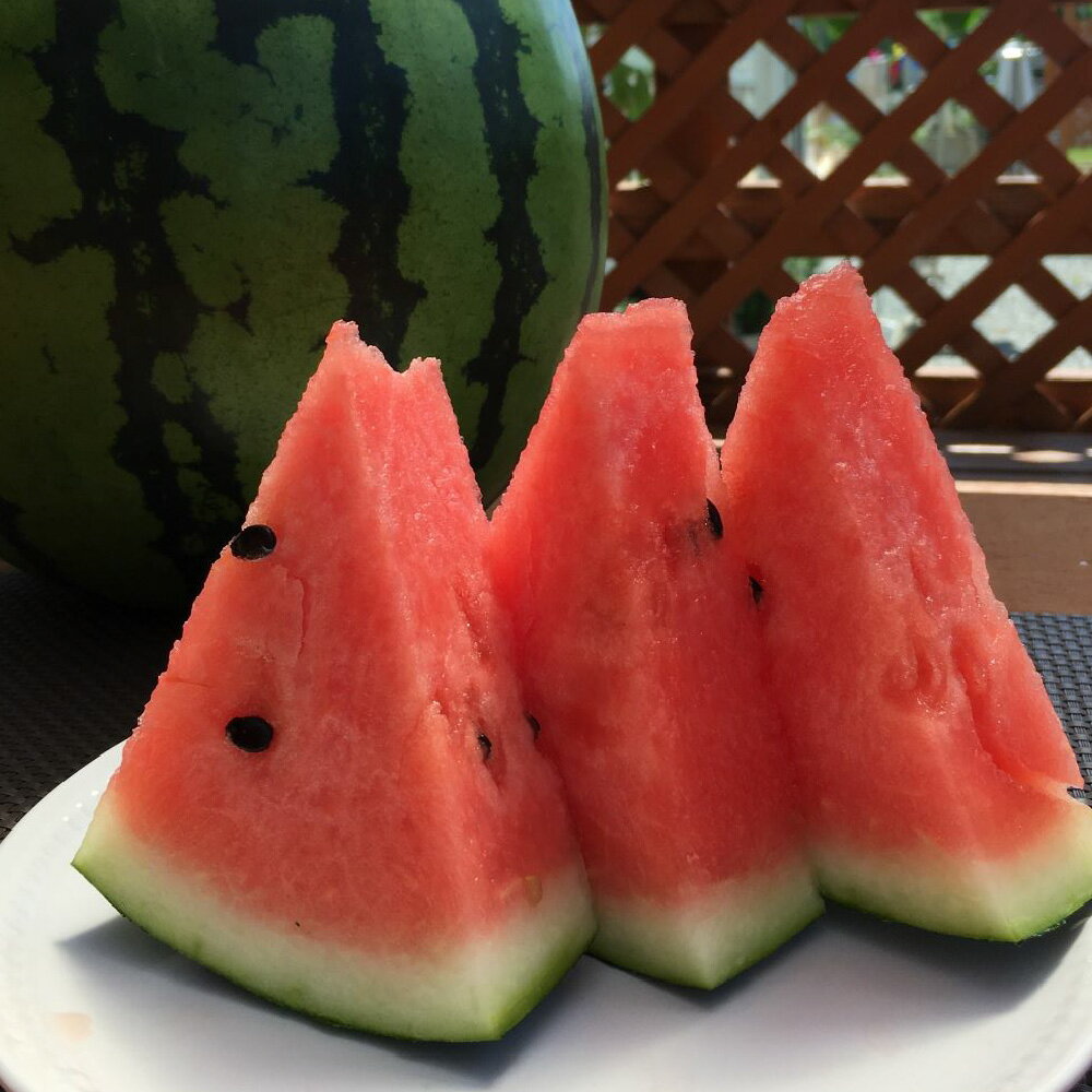 大玉スイカ 1玉 6kg以上 フルーツ くだもの 果物 すいか スイカ 西瓜 果実 おやつ 果肉 熊本県産 植木産 国産 送料無料 【2026年4月下旬～6月上旬迄順次発送予定】