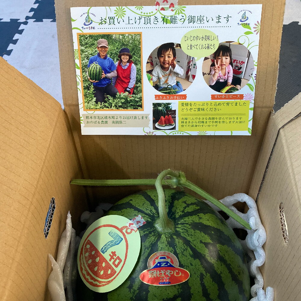 【ふるさと納税】大玉スイカ 1玉 6kg以上 フルーツ くだもの 果物 すいか スイカ 西瓜 果実 おやつ 果肉 熊本県産 植木産 国産 送料無料 【2026年4月下旬～6月上旬迄順次発送予定】 サムネイル2