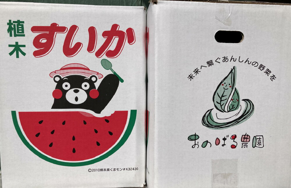 【ふるさと納税】大玉スイカ 1玉 6kg以上 フルーツ くだもの 果物 すいか スイカ 西瓜 果実 おやつ 果肉 熊本県産 植木産 国産 送料無料 【2026年4月下旬～6月上旬迄順次発送予定】 サムネイル3