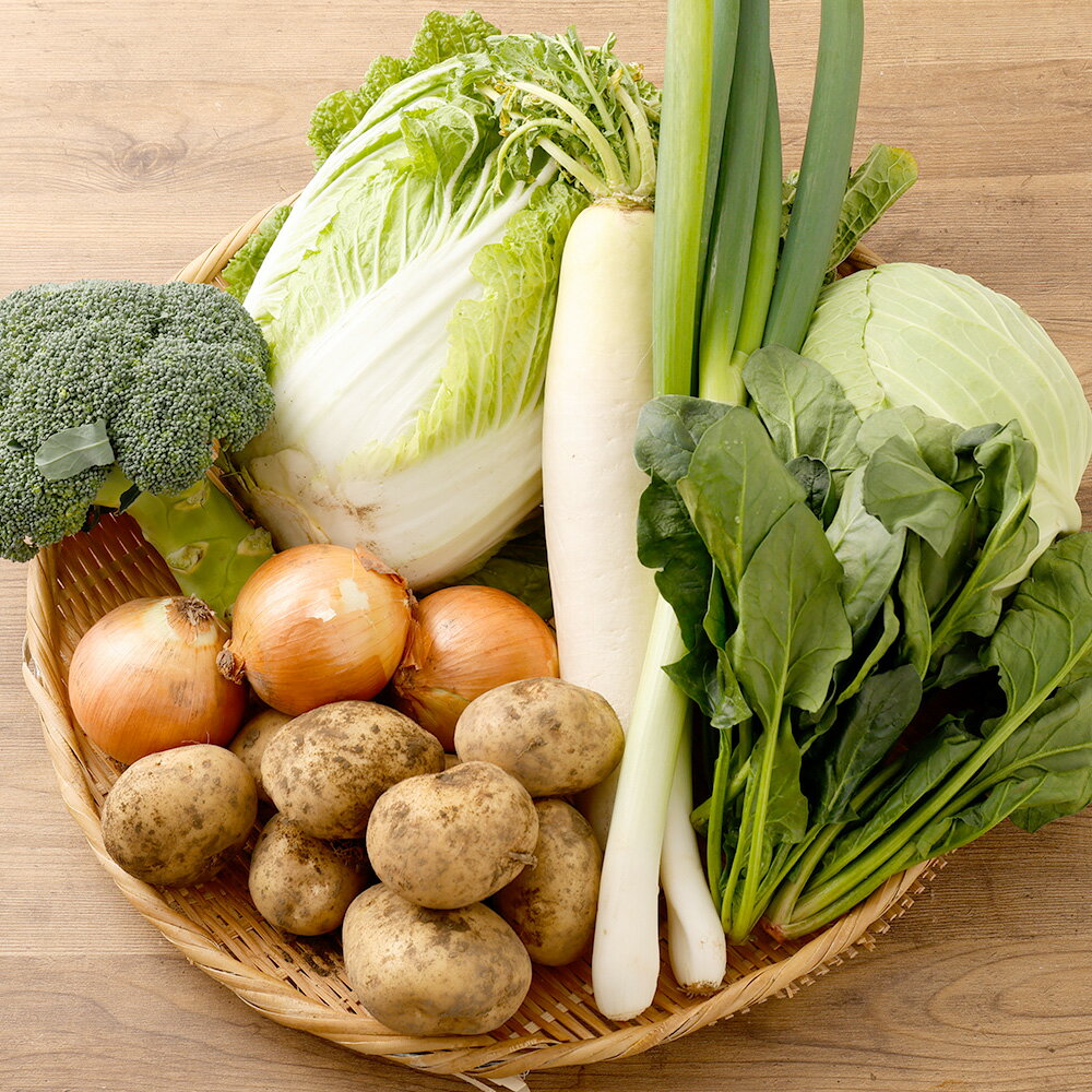 綺麗な水の街熊本で採れた新鮮野菜詰め合わせ セット 3～5品目 約4～5kg キャベツ ブロッコリー 玉ねぎ ジャガイモ ゴーヤ しそ おくら ピーマン 唐辛子 サツマイモ ほうれん草 冷蔵 熊本県産 九州 国産 熊本県 熊本市 送料無料