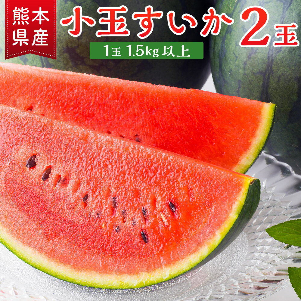 熊本県産 小玉スイカ ひとりじめ 黒小玉 ピノガール 2玉 3kg以上 1玉1.5kg以上 熊本 すいか 果物 フルーツ 西瓜 国産 九州産 熊本県産 熊本市産 送料無料 【2026年6月上旬～6月下旬迄順次発送予定】