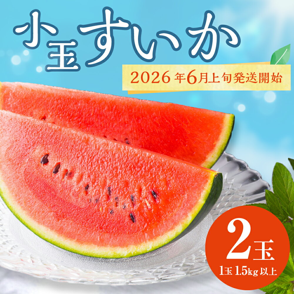 【ふるさと納税】熊本県産 小玉スイカ ひとりじめ 黒小玉 ピノガール 2玉 3kg以上 1玉1.5kg以上 熊本 すいか 果物 フルーツ 西瓜 国産 九州産 熊本県産 熊本市産 送料無料 【2026年6月上旬～6月下旬迄順次発送予定】 サムネイル2
