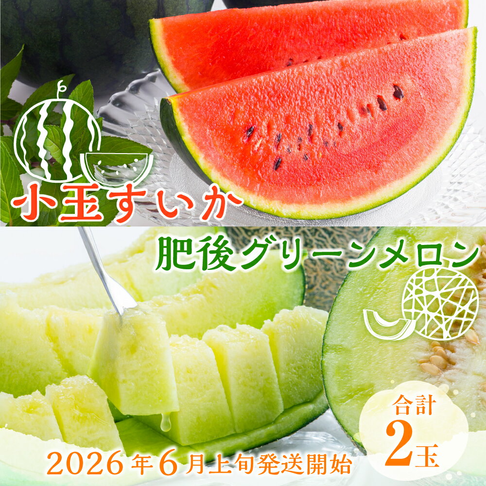 【ふるさと納税】 小玉スイカ ひとりじめ 黒小玉 ピノガール 1.5kg以上 肥後グリーンメロン 1.6kg以上 2玉セット 合計3.1kg以上 すいか メロン 果物 フルーツ 国産 九州産 熊本県産 熊本市産 送料無料 【2026年6月上旬～6月下旬迄順次発送予定】 サムネイル2