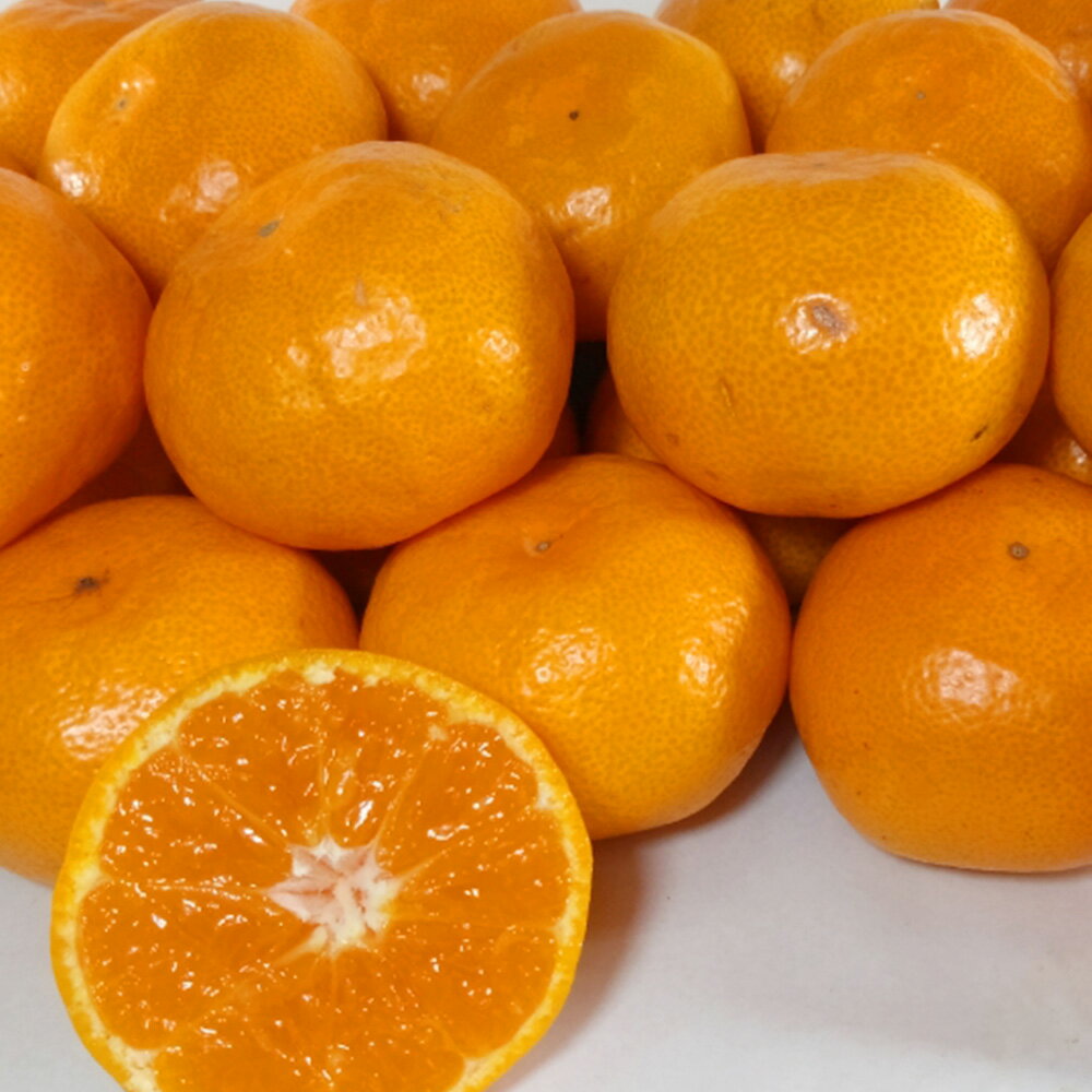 熊本県産 みかん 約3kg サイズ2L～S 蜜柑 柑橘 果実 果物 くだもの フルーツ おやつ 熊本市 国産 常温 送料無料 冷蔵【2025年10月下旬～2026年2月上旬迄発送予定】