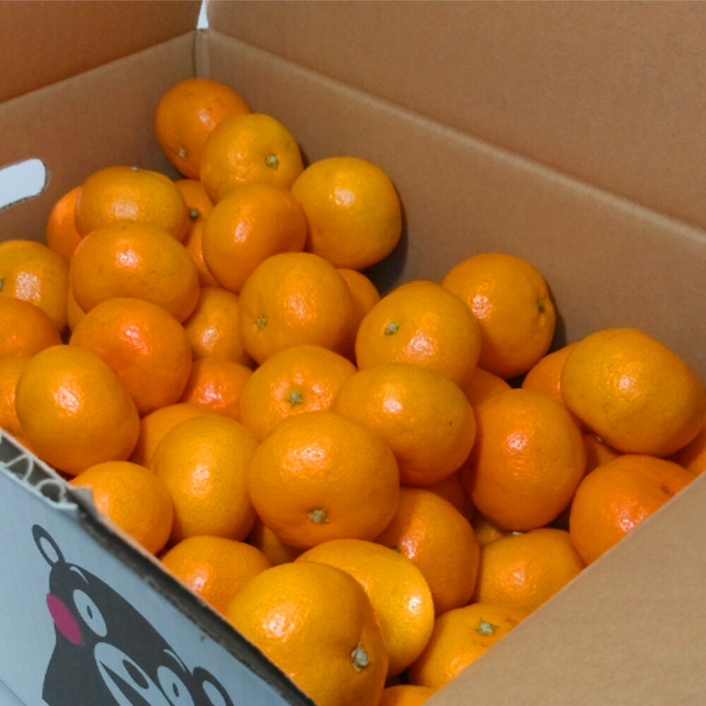 【ふるさと納税】 熊本県産 みかん 約3kg サイズ2L～S 蜜柑 柑橘 果実 果物 くだもの フルーツ おやつ 熊本市 国産 常温 送料無料 冷蔵【2025年10月下旬～2026年2月上旬迄発送予定】 サムネイル2