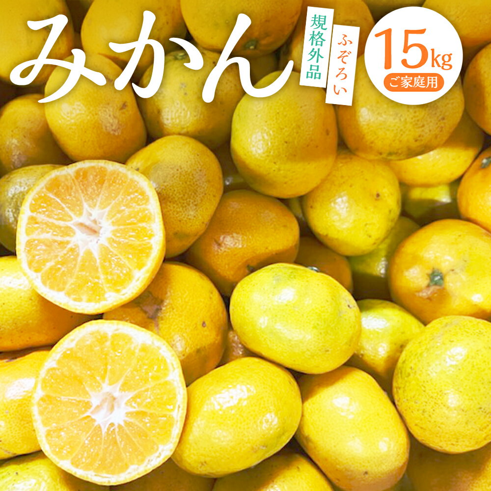 【規格外品】熊本市産 みかん ご家庭用 15kg 10000円 1万円 不揃い 訳あり 蜜柑 ミカン フルーツ 果物 くだもの 柑橘 果実 おやつ 熊本産 九州産 先行予約 送料無料 【2025年10月下旬～2026年2月下旬迄発送予定】