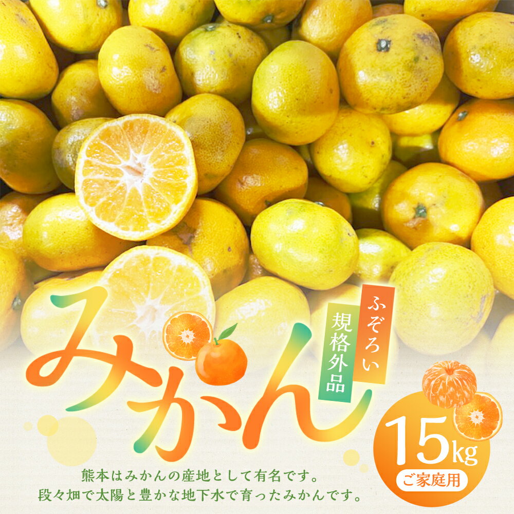 【ふるさと納税】 【規格外品】熊本市産 みかん ご家庭用 15kg 10000円 1万円 不揃い 訳あり 蜜柑 ミカン フルーツ 果物 くだもの 柑橘 果実 おやつ 熊本産 九州産 先行予約 送料無料 【2025年10月下旬～2026年2月下旬迄発送予定】 サムネイル2
