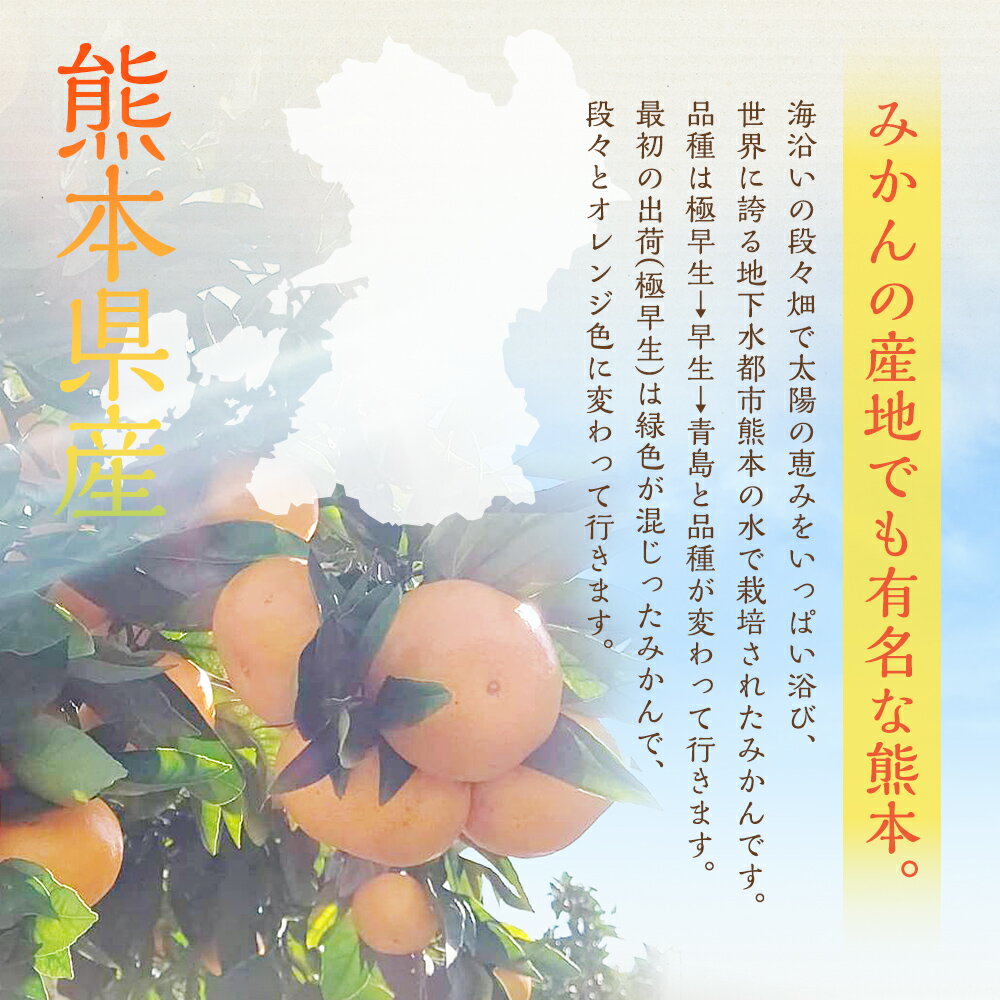 【ふるさと納税】 【規格外品】熊本市産 みかん ご家庭用 15kg 10000円 1万円 不揃い 訳あり 蜜柑 ミカン フルーツ 果物 くだもの 柑橘 果実 おやつ 熊本産 九州産 先行予約 送料無料 【2025年10月下旬～2026年2月下旬迄発送予定】 サムネイル3