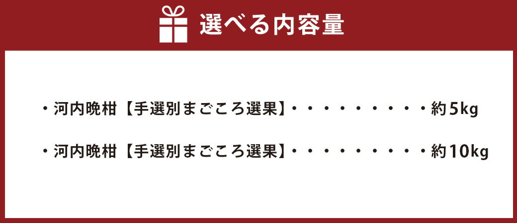 【ふるさと納税】 河内晩柑 ＜選べる＞約5kg または 約10kg サイズ不選別 蜜柑 柑橘 晩柑 果実 果物 フルーツ 熊本市 国産 常温 先行予約 送料無料 【約5kg：2026年3月下旬～6月上旬迄順次発送予定】【約10kg：2026年2月上旬～3月下旬発送予定】 サムネイル3