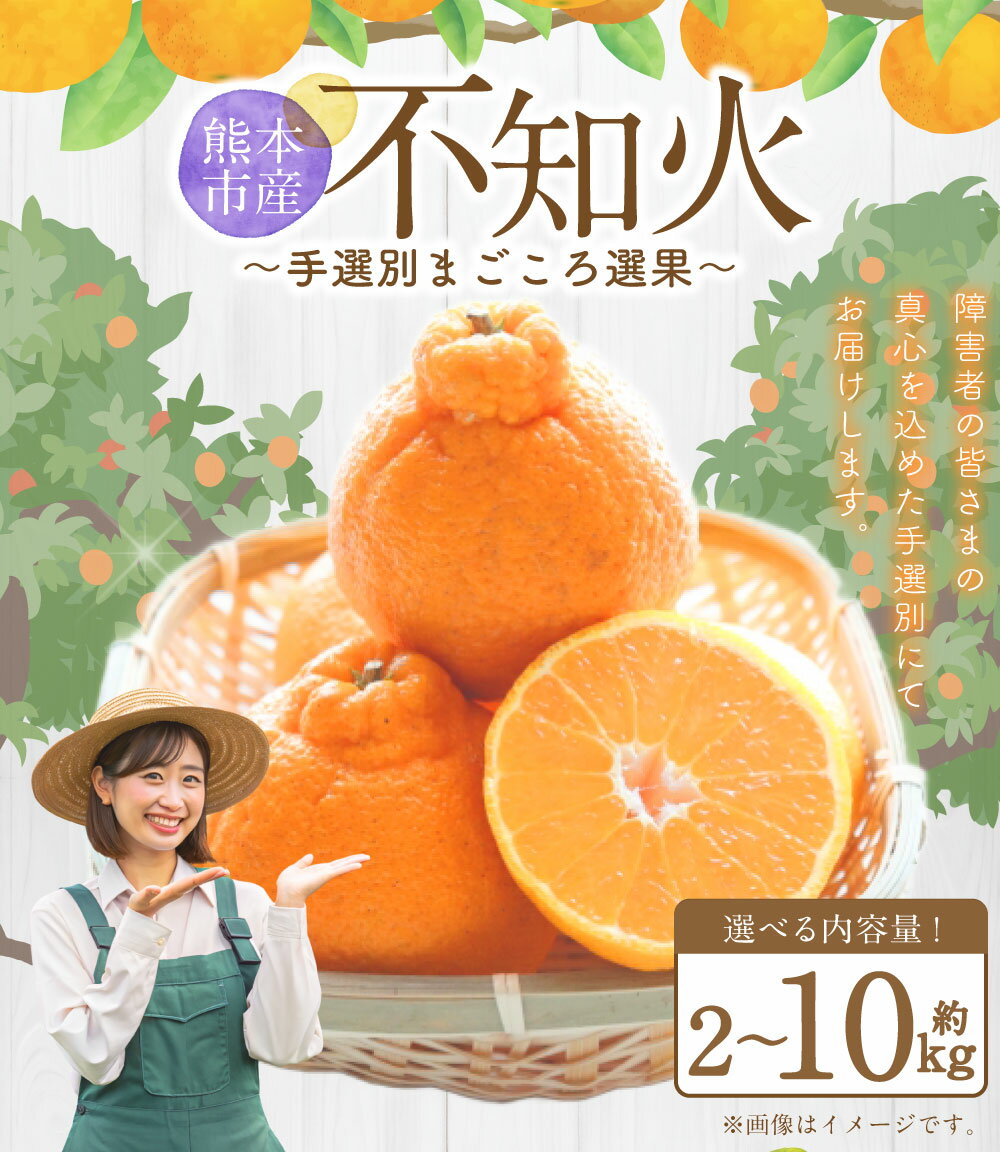 【ふるさと納税】 不知火 （デコポンと同品種） ＜選べる＞約2kg または 約5kg または 約10kg 7000円 ～ 20000円 7000円 ～ 2万円 サイズ不選別 蜜柑 柑橘 しらぬい 果実 果物 フルーツ 国産 常温 先行予約 送料無料 【2026年2月上旬～2026年3月下旬迄発送予定】 - 画像3