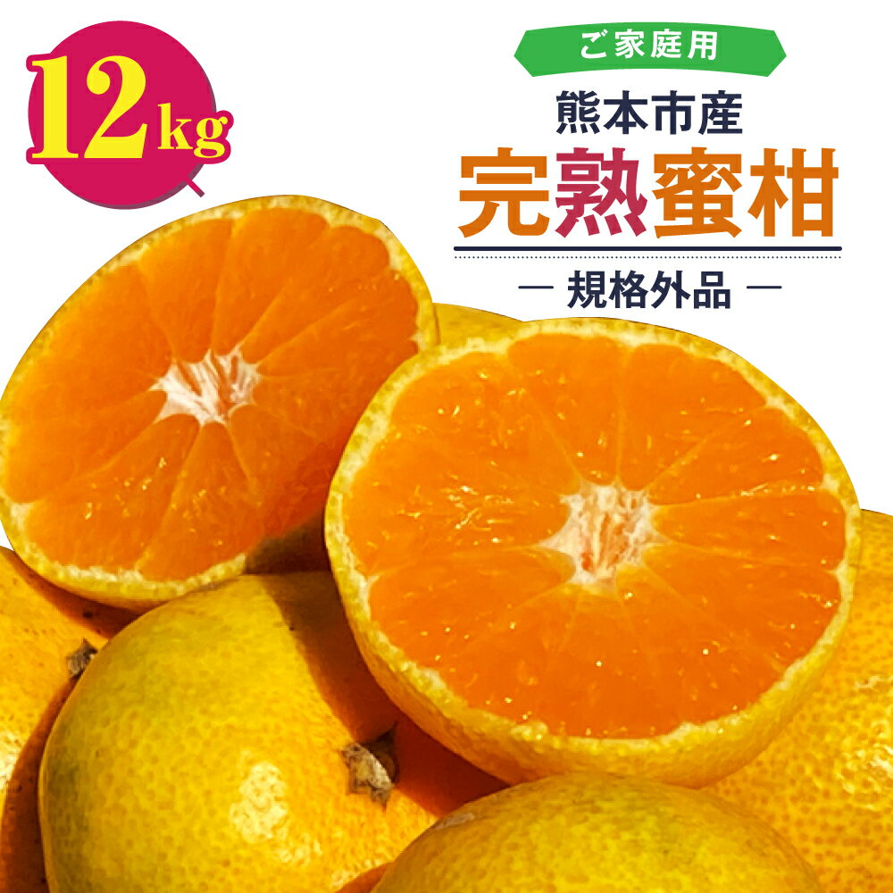 【規格外品】 熊本市産 完熟蜜柑 ご家庭用 12kg みかん 蜜柑 ミカン 柑橘 フルーツ 果物 くだもの 果実 訳あり 熊本市 熊本県 送料無料 【2025年9月上旬～2026年2月上旬迄発送予定】