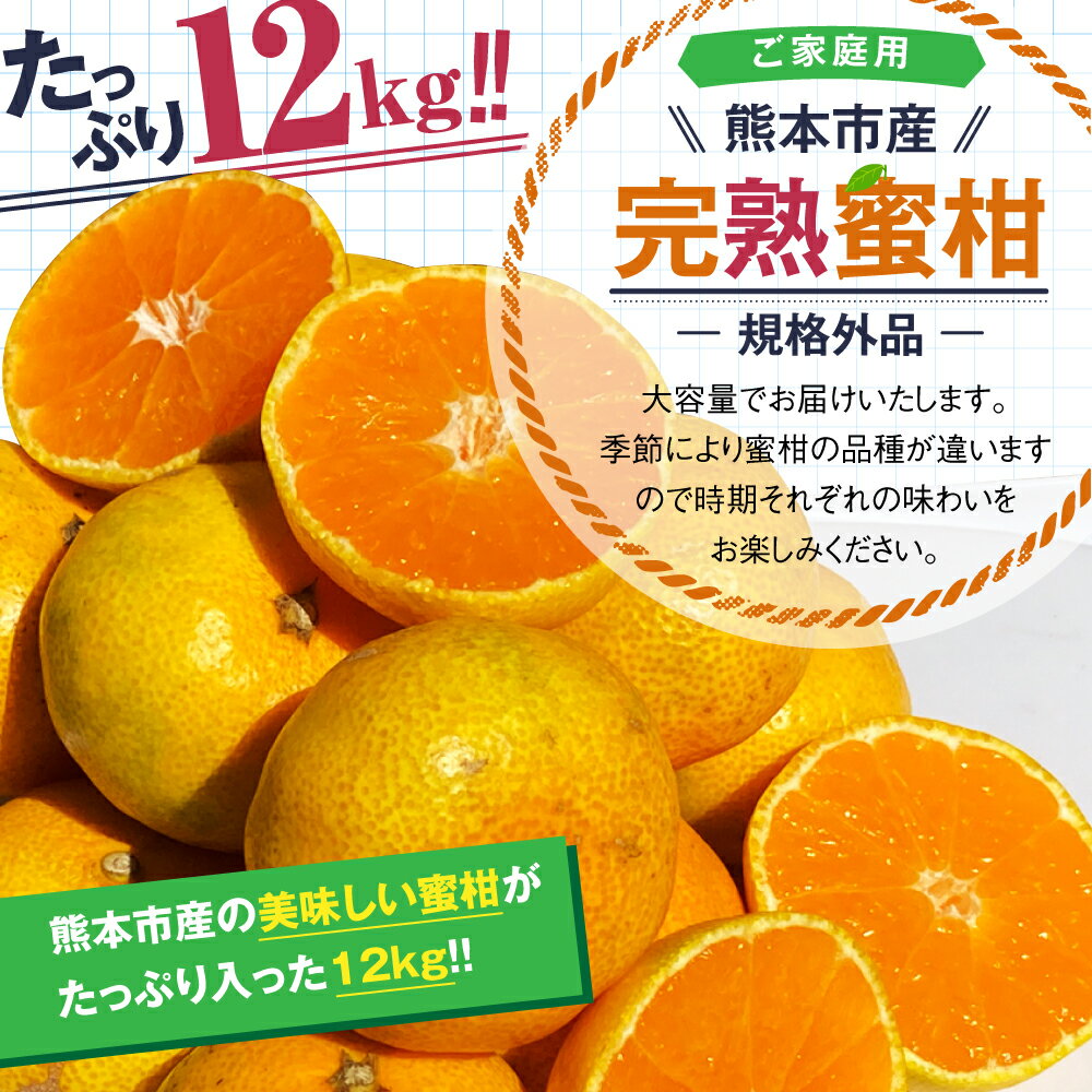 【ふるさと納税】 【規格外品】 熊本市産 完熟蜜柑 ご家庭用 12kg みかん 蜜柑 ミカン 柑橘 フルーツ 果物 くだもの 果実 訳あり 熊本市 熊本県 送料無料 【2025年9月上旬～2026年2月上旬迄発送予定】 サムネイル2