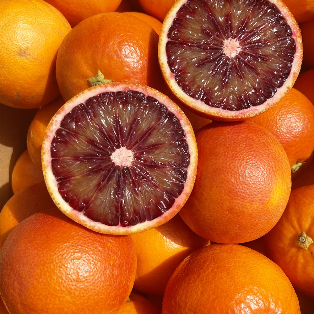 熊本産 ブラッドオレンジ 4kg 前後 果物 フルーツ 柑橘類 九州 ギフト 贈答 送料無料 【2026年2月下旬～4月上旬迄順次発送予定】