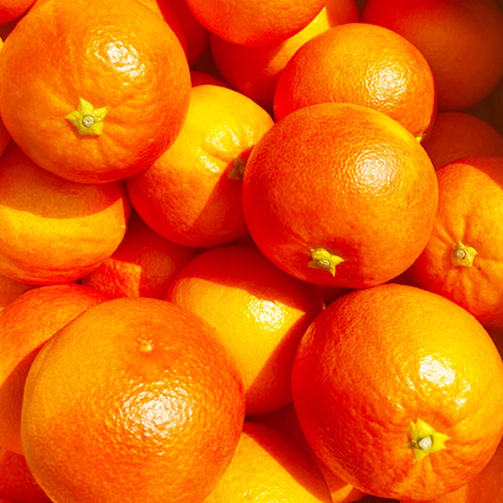 【ふるさと納税】 熊本産 ブラッドオレンジ 4kg 前後 果物 フルーツ 柑橘類 九州 ギフト 贈答 送料無料 【2026年2月下旬～4月上旬迄順次発送予定】 サムネイル2