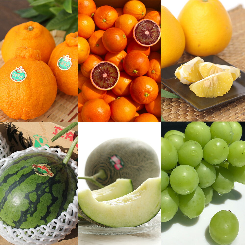 【6か月定期便】熊本産 フルーツ 定期便 50000円 5万円 果物 くだもの 果実 デコポン ブラッドオレンジ ネーブル 河内晩柑 晩柑 柑橘 蜜柑 グリーンメロン シャインマスカット 熊本県 国産 冷蔵 送料無料 【2026年2月上旬～7月下旬迄発送予定】