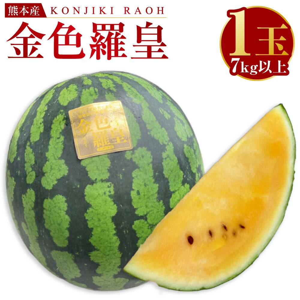 熊本産 金色羅皇 1玉 スイカ すいか 7kg 以上 西瓜 果物 フルーツ 旬 果肉 おやつ 九州 ギフト 贈答 先行予約 送料無料 【2026年5月下旬～6月下旬迄順次発送予定】