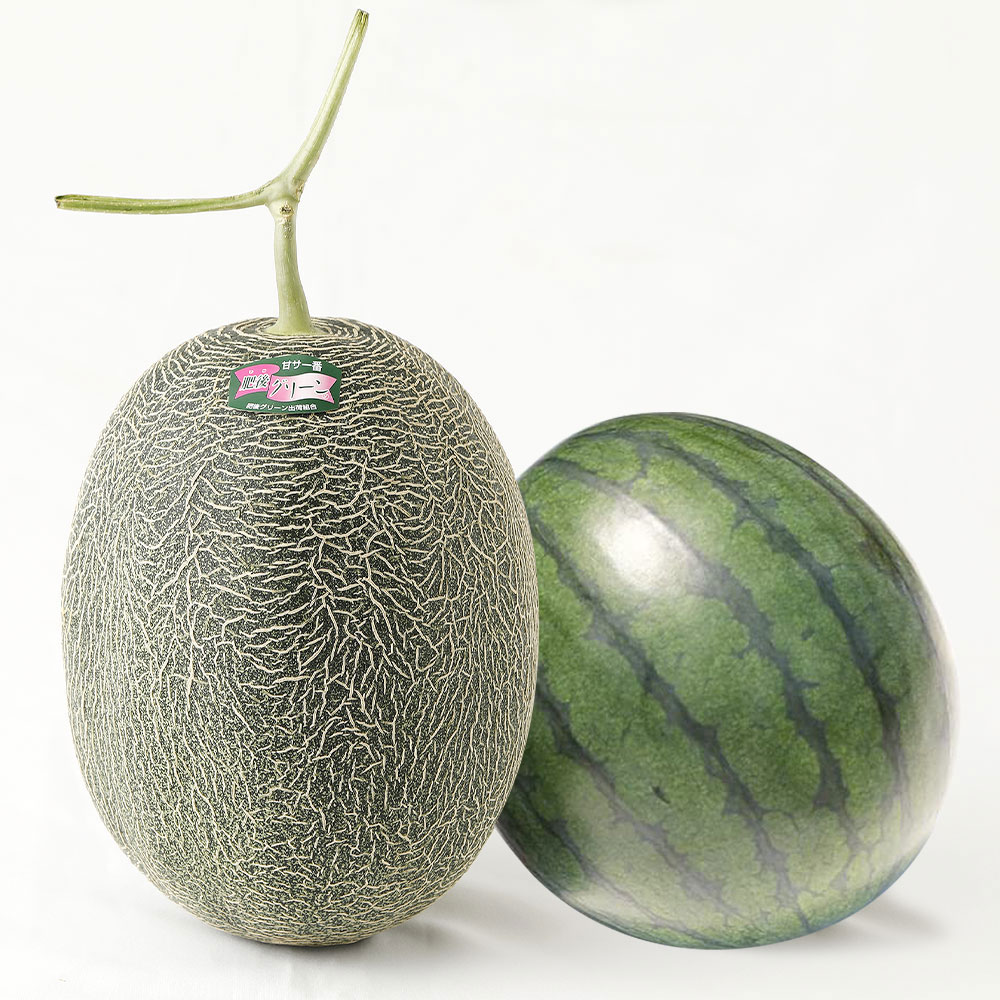 【ふるさと納税】熊本産 小玉すいか＆肥後グリーンメロン 各1玉 1玉1.2kg以上 小玉すいか スイカ 肥後グリーンメロン メロン 高糖度 16度〜17度 フルーツ 果物 果実 食べ比べ セット 熊本県産 九州 送料無料 【2026年4月下旬～7月上旬迄順次発送予定】 サムネイル3