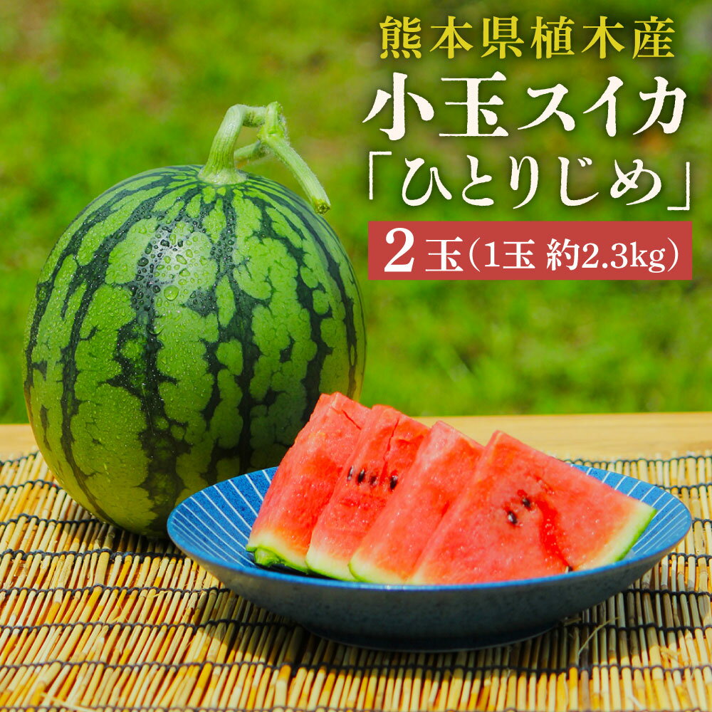 【上村農園】小玉すいか 約2.3kg 2玉 ひとりじめ 【2026年6月上旬～6月下旬迄順次発送予定】 春スイカ植木 スイカ 西瓜 果物 くだもの フルーツ おやつ 熊本県産 国産 常温 送料無料 熊本県 熊本市