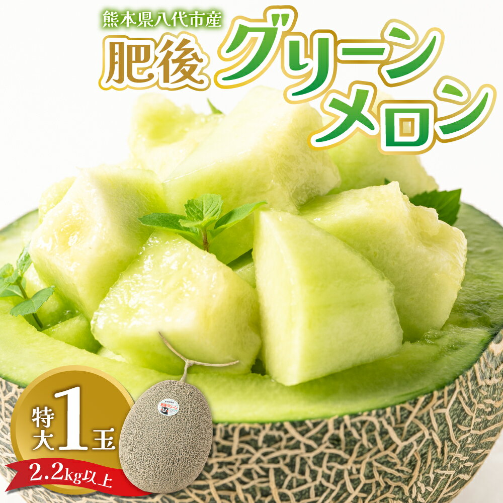 【先行予約】 熊本県八代市産 肥後グリーンメロン 特大1玉 (2.2kg以上) メロン めろん 果物 くだもの フルーツ デザート 旬 青肉 ジューシー 甘い 送料無料 【2026年6月中旬より順次発送】