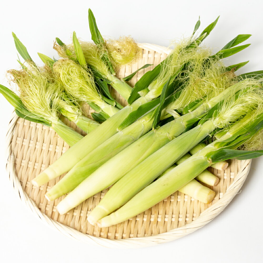 【ふるさと納税】 【先行予約】ヤングコーン 30本 とうもろこし 朝採れ 朝採り 新鮮 ハウス栽培 皮付き 八宝菜 シチュー 蒸し焼き 野菜 旬 国産 熊本県 八代市 送料無料【2026年4月下旬より順次発送】 - 画像3