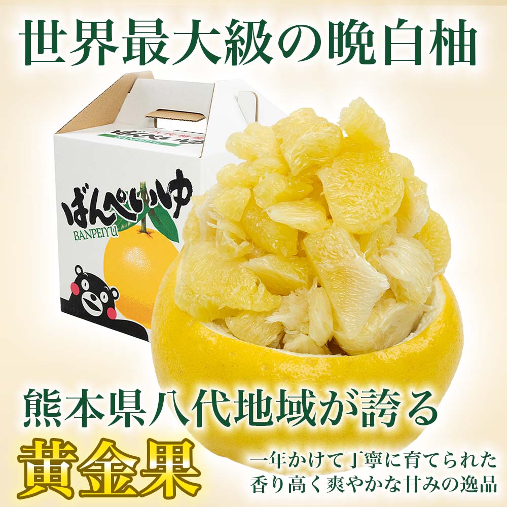 【ふるさと納税】【先行予約】【選べるサイズ・玉数】 晩白柚 ばんぺいゆ L～3Lサイズ・1玉～6玉入り（約1.5kg～10kg）果物 くだもの フルーツ 柑橘類 青果物 特産品 お取り寄せ 国産 送料無料 【2025年12月中旬より順次発送】 サムネイル2