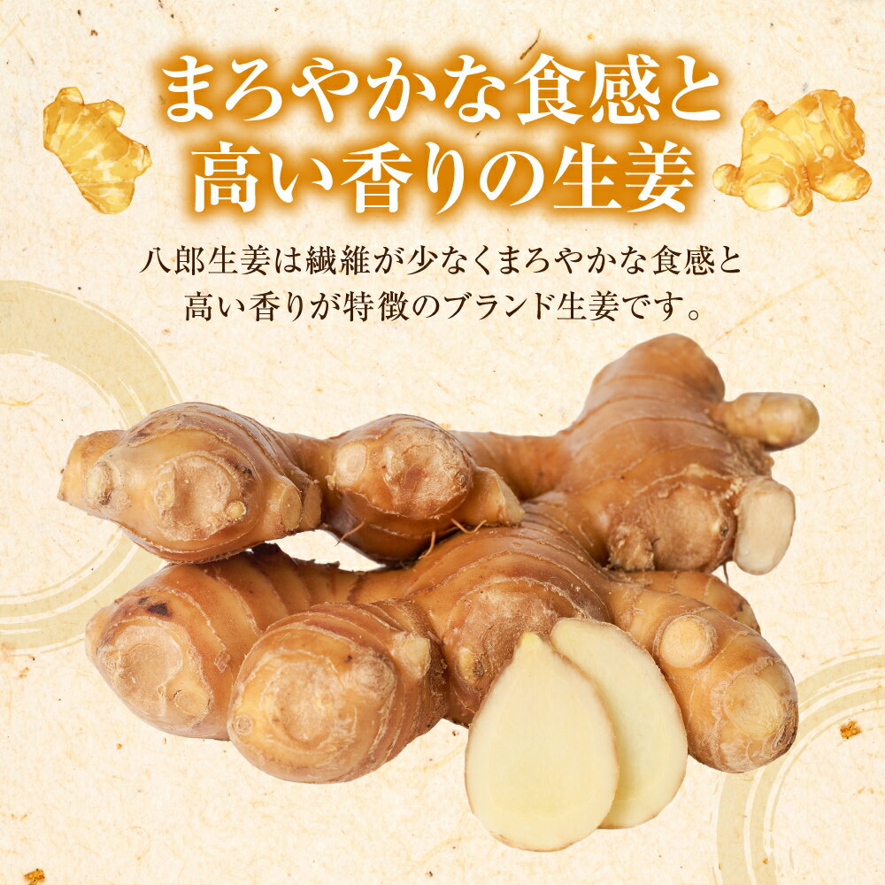 【ふるさと納税】 【選べる容量】 八郎生姜 1kg～2kg しょうが ショウガ ガリ ジンジャー 野菜 食品 薬味 生姜焼き しょうが焼き 温活 冷え性 対策 熊本県 八代市 東陽町 産地直送 国産 送料無料 - 画像2