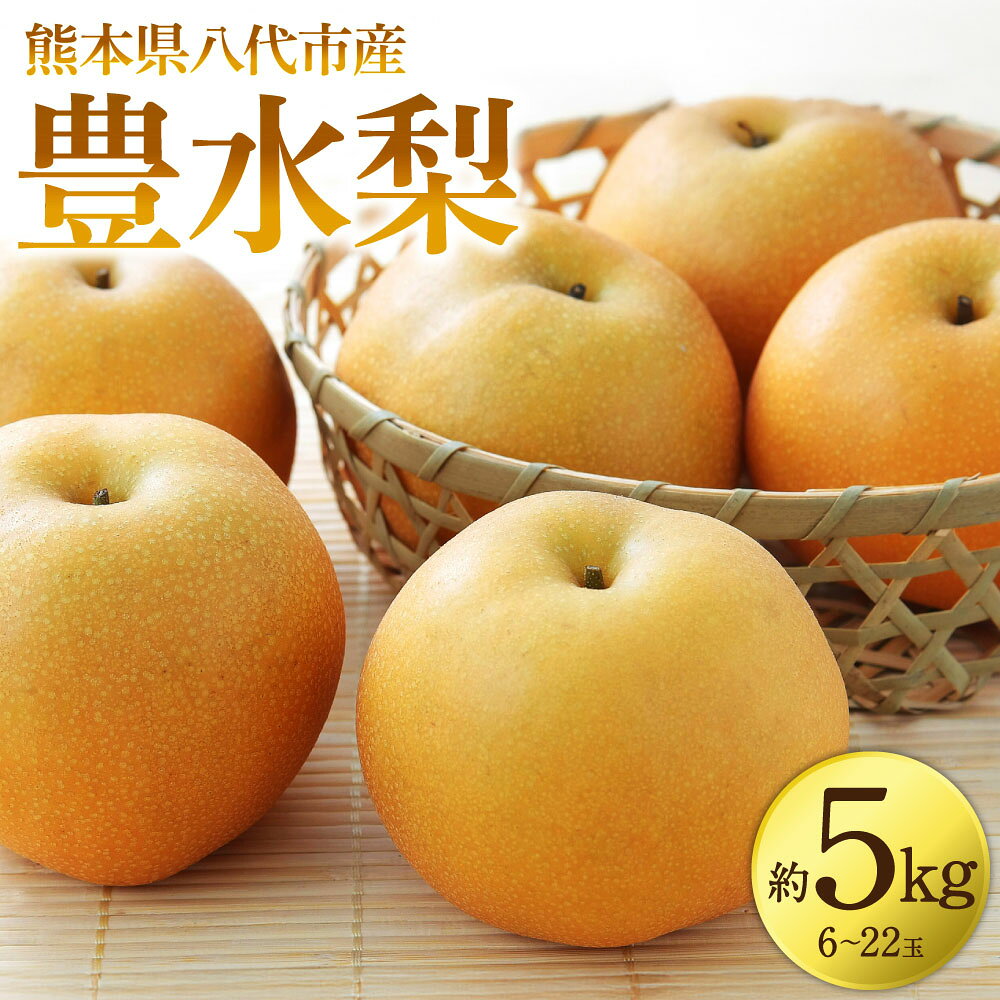 【先行予約】 豊水梨 約5kg (6～22玉) 梨 なし ナシ フルーツ くだもの 果物 旬 熊本県 八代市 送料無料 【2026年8月中旬より順次発送】