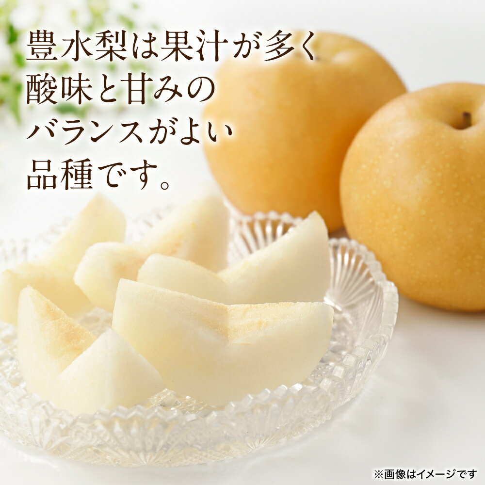 【ふるさと納税】 【先行予約】 豊水梨 約5kg (6～22玉) 梨 なし ナシ フルーツ くだもの 果物 旬 熊本県 八代市 送料無料 【2026年8月中旬より順次発送】 - 画像2