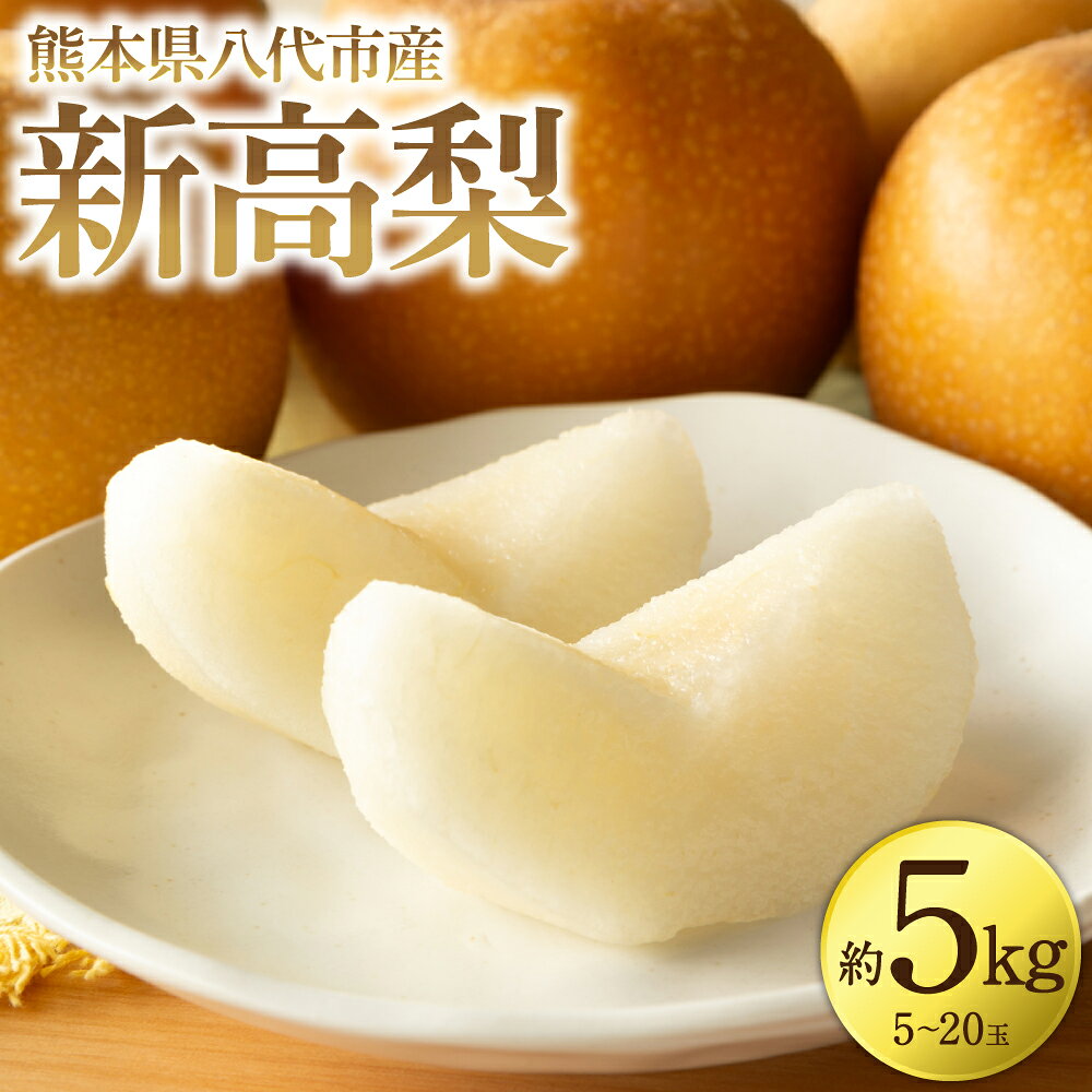 【先行予約】 新高梨 約5kg (5～20玉) 梨 なし ナシ フルーツ くだもの 果物 旬 熊本県 八代市 送料無料 【2026年9月中旬より順次発送】