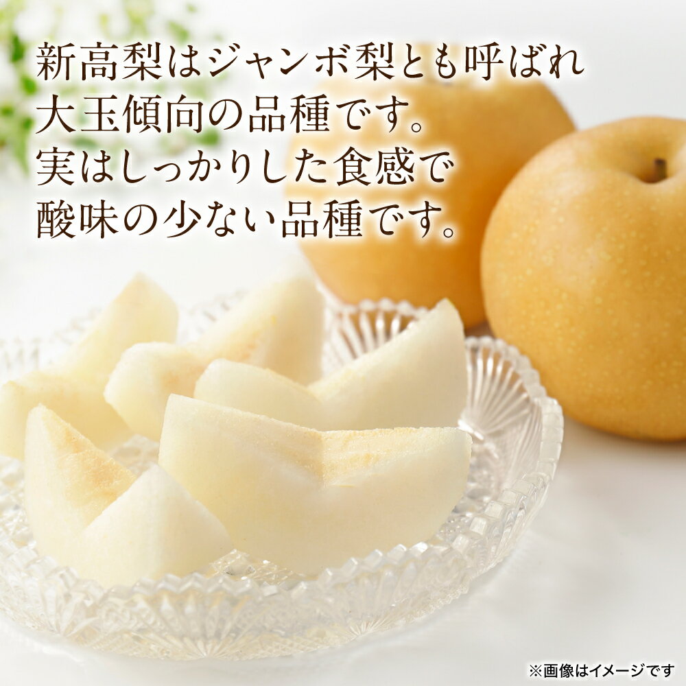 【ふるさと納税】 【先行予約】 新高梨 約5kg (5～20玉) 梨 なし ナシ フルーツ くだもの 果物 旬 熊本県 八代市 送料無料 【2026年9月中旬より順次発送】 - 画像2