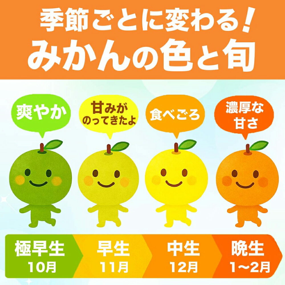 【ふるさと納税】旬のみかん 2S～2Lサイズ 【選べる内容量】 約3kg～約10kg ミカン 柑橘 果物 フルーツ 旬 くだもの デザート 熊本県 八代市産 送料無料 サムネイル3