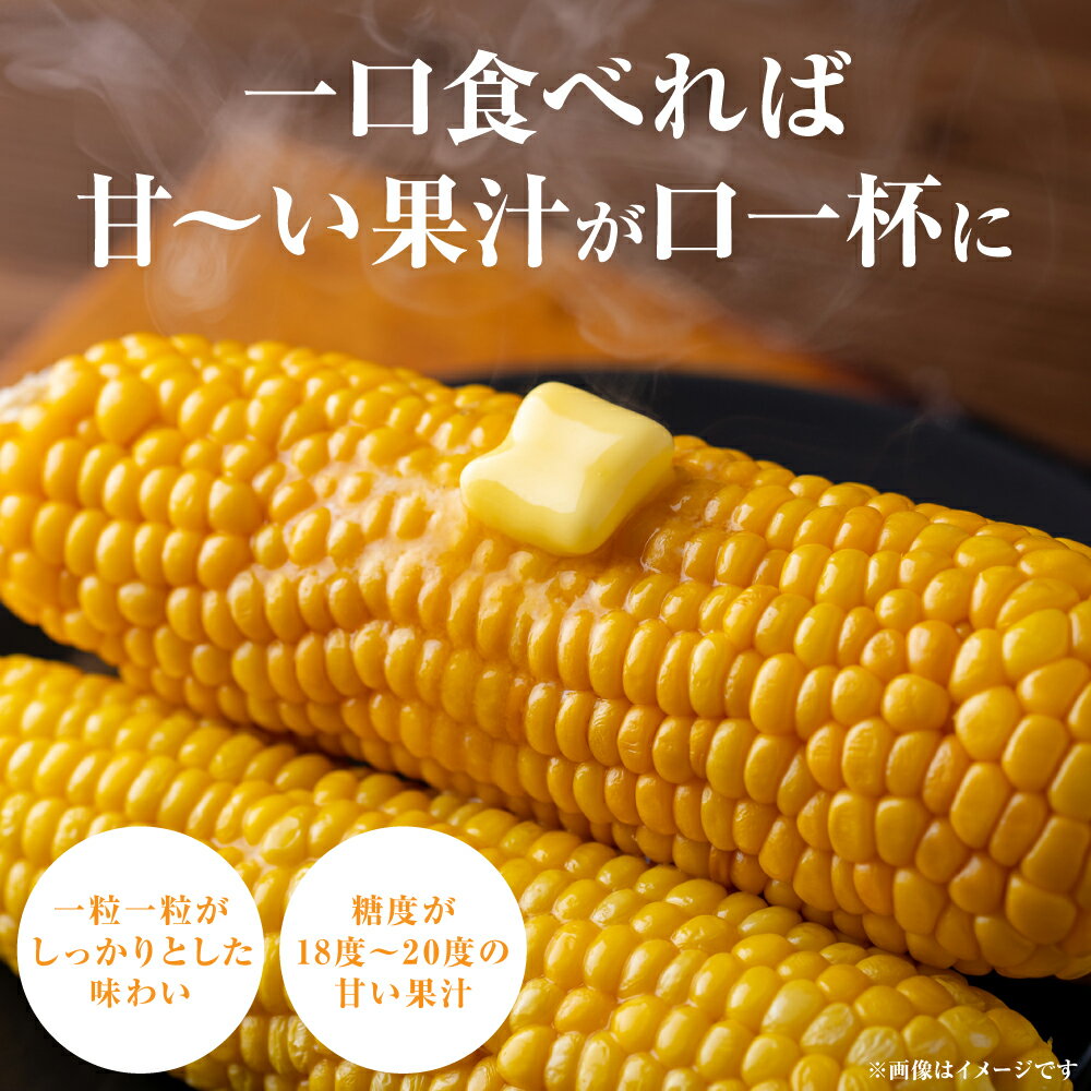 【ふるさと納税】 【先行予約】 熊本県八代市産「天使のコーン」2L～3Lサイズ 合計10本入り スイートコーン とうもろこし コーン料理 とうもろこし料理 送料無料 【2026年5月中旬より順次発送】 - 画像3