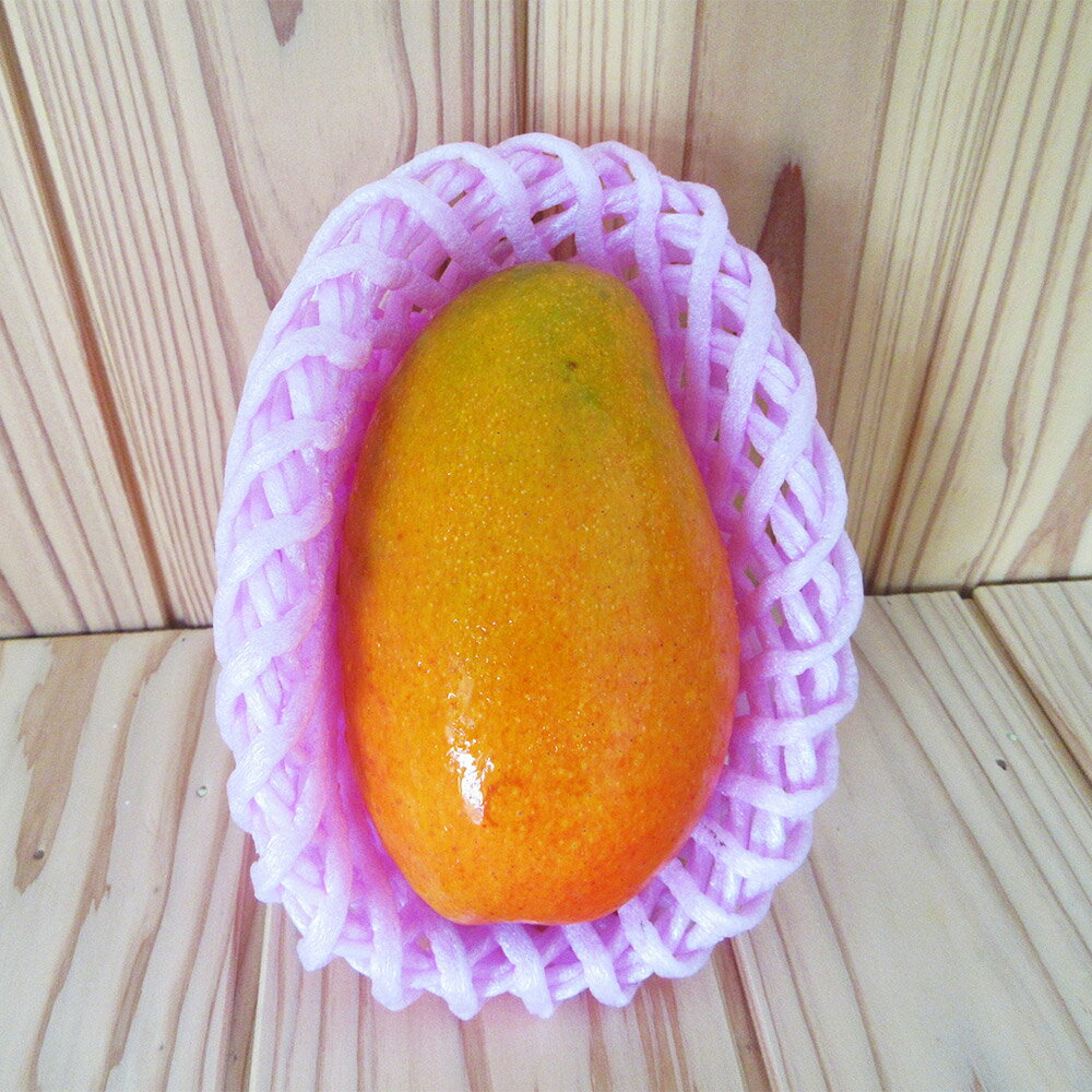 人吉市産 マンゴー 2～3玉（約1.5kg） アップルマンゴー キーツマンゴー まんごー ビニールハウス栽培 フルーツ 果物 果実 くだもの 熊本県産 国産 九州 熊本県 人吉市 送料無料 【2026年7月上旬～8月上旬発送予定】