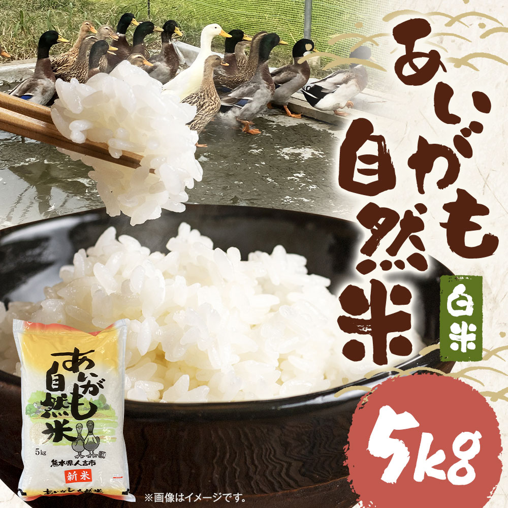 【ふるさと納税】あいがも自然米 白米 5kg 合鴨米 栽培期間中農薬・化学肥料不使用 令和7年産 精米 お米 熊本県産 九州産 送料無料 【2025年11月下旬～2026年10月下旬迄発送予定】 - 画像2