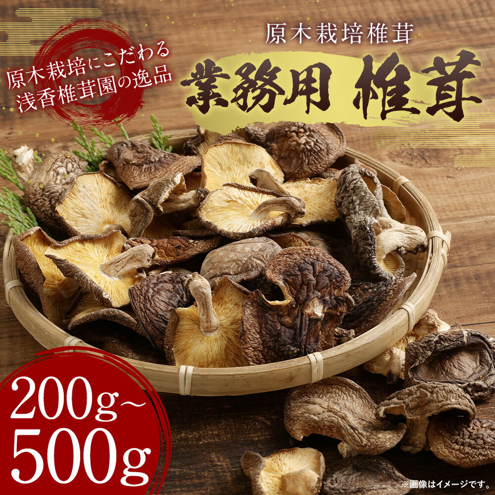 【ふるさと納税】訳あり 原木栽培椎茸 業務用 椎茸 200g/500g 選べる内容量 8000円 〜 15000円 8千円 〜 1万5000円 しいたけ 干し椎茸 干ししいたけ 乾椎茸 きのこ ご家庭用 熊本県人吉産 九州 送料無料 サムネイル2