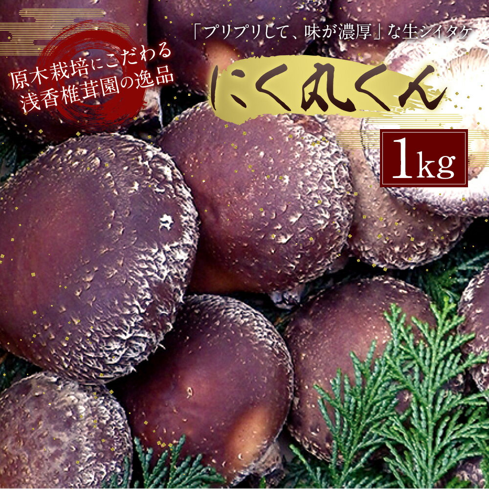 【ふるさと納税】【先行受付】特選原木栽培生しいたけ にく丸くん 大サイズ 約1kg 12000円 1万2000円 生椎茸 しいたけ きのこ 熊本県人吉産 九州 冷蔵 送料無料【2025年10月下旬～2026年2月上旬に順次発送予定】 サムネイル2