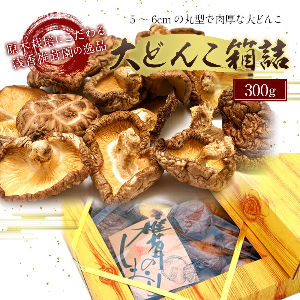 【ふるさと納税】原木栽培椎茸 大どんこ箱詰 300g ギフト箱入り 椎茸 しいたけ 干し椎茸 干ししいたけ 乾椎茸 きのこ 熊本県人吉産 九州 5〜6cmの丸型肉厚 送料無料 - 画像2