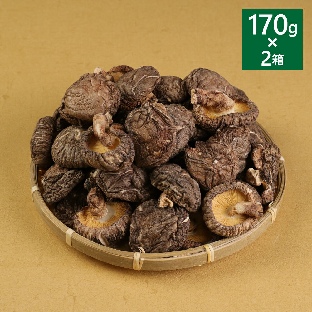【ふるさと納税】 ＜選べる容量＞ 熊本県 人吉 球磨産 乾椎茸どんこ箱詰 170g×1箱 ／ 170g×2箱 （ 計340g ） 椎茸 しいたけ 干し椎茸 干ししいたけ 乾椎茸 どんこ 原木栽培 送料無料 - 画像3