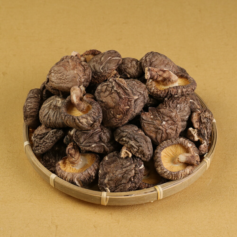 ＜選べる容量＞ 熊本県 人吉 球磨産 乾椎茸どんこ箱詰 170g×1箱 ／ 170g×2箱 （ 計340g ） 椎茸 しいたけ 干し椎茸 干ししいたけ 乾椎茸 どんこ 原木栽培 送料無料