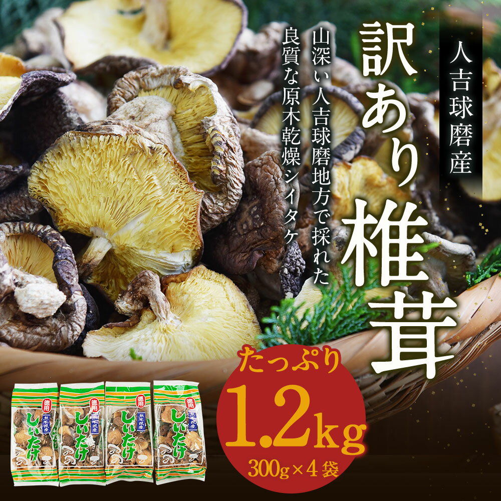 【ふるさと納税】人吉球磨産 しいたけ 訳あり椎茸 合計1.2kg 300g×4袋 椎茸 ご家庭用 熊本県人吉産 原木栽培椎茸 乾しいたけ 干し椎茸 干ししいたけ 乾椎茸 きのこ 九州 業務用 送料無料 - 画像2
