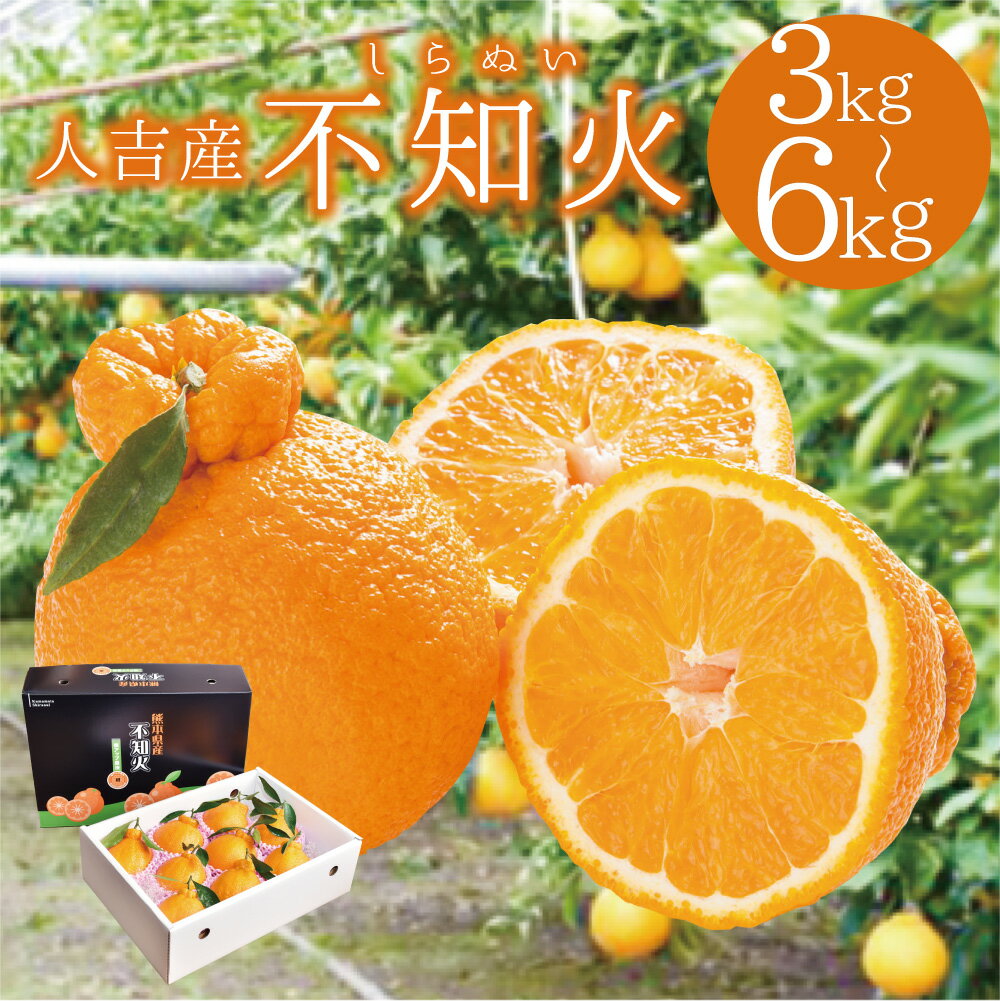 【ふるさと納税】人吉産 不知火 しらぬい 約3kg/約6kg 選べる内容量 11000円 〜 20000円 1万1000円 〜 2万円 柑橘類 熊本 果物 フルーツ 送料無料 【2026年1月上旬～2月上旬に順次発送予定】 サムネイル2