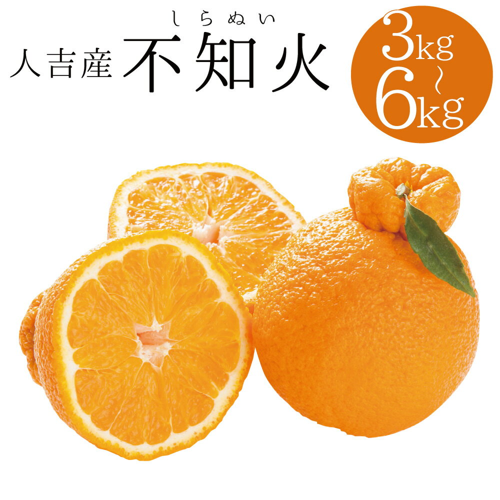 人吉産 不知火 しらぬい 約3kg/約6kg 選べる内容量 11000円 〜 20000円 1万1000円 〜 2万円 柑橘類 熊本 果物 フルーツ 送料無料 【2026年1月上旬～2月上旬に順次発送予定】