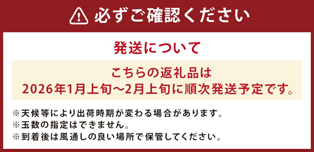 【ふるさと納税】人吉産 不知火 しらぬい 約3kg/約6kg 選べる内容量 11000円 〜 20000円 1万1000円 〜 2万円 柑橘類 熊本 果物 フルーツ 送料無料 【2026年1月上旬～2月上旬に順次発送予定】 サムネイル3