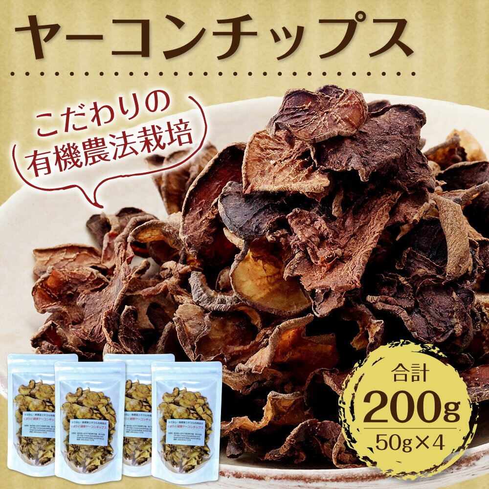 【ふるさと納税】ヤーコンチップス 50×4 合計200g 野菜 健康 食品 いも 芋 イモ 国産 九州産 送料無料 - 画像2