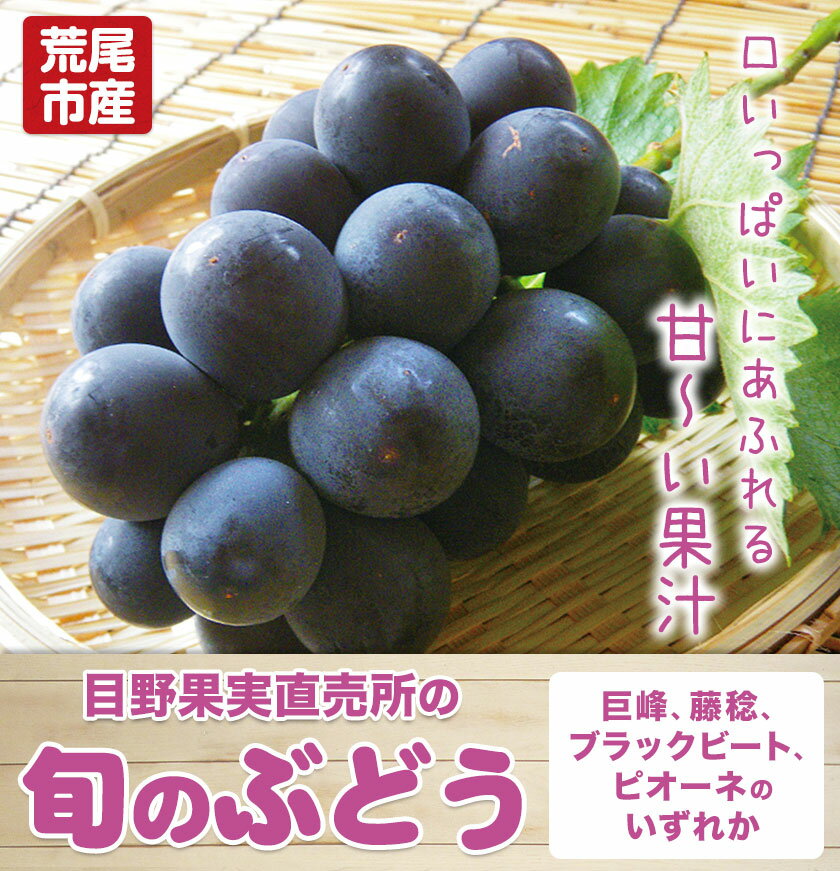 【ふるさと納税】【先行予約】ぶどう 選べる 約600g 〜 約700g 約1kg 約2kg 旬の品種( 巨峰 または 藤稔 または ブラックビート または ピオーネ ) 品種の指定不可 フルーツ 果物 新鮮 ブドウ 葡萄《8月上旬-9月上旬頃出荷》熊本県 荒尾市産 - 画像3