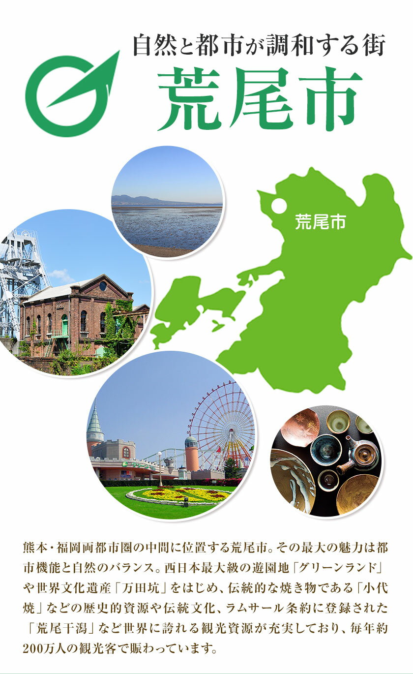 【ふるさと納税】熊本県荒尾市 日本旅行 地域限定旅行クーポン 選べる【15,000円~300,000円分】《寄付翌月末を目途に付与いたします》 サムネイル3