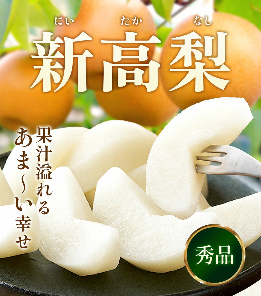 【ふるさと納税】先行予約 新高梨 約 1.8kg 4〜7玉 約 5kg 6〜16玉 約 10kg 12〜32玉 日本フルーツ株式会社《9月上旬-10月上旬頃出荷》熊本県 荒尾市 新高梨 梨 果物 フルーツ スイーツ デザート ギフト ご贈答 - 画像2