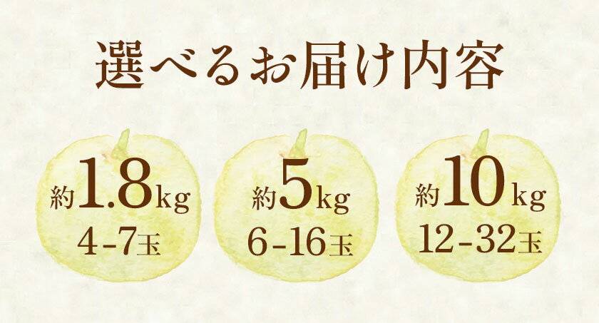 【ふるさと納税】先行予約 新高梨 約 1.8kg 4〜7玉 約 5kg 6〜16玉 約 10kg 12〜32玉 日本フルーツ株式会社《9月上旬-10月上旬頃出荷》熊本県 荒尾市 新高梨 梨 果物 フルーツ スイーツ デザート ギフト ご贈答 - 画像3