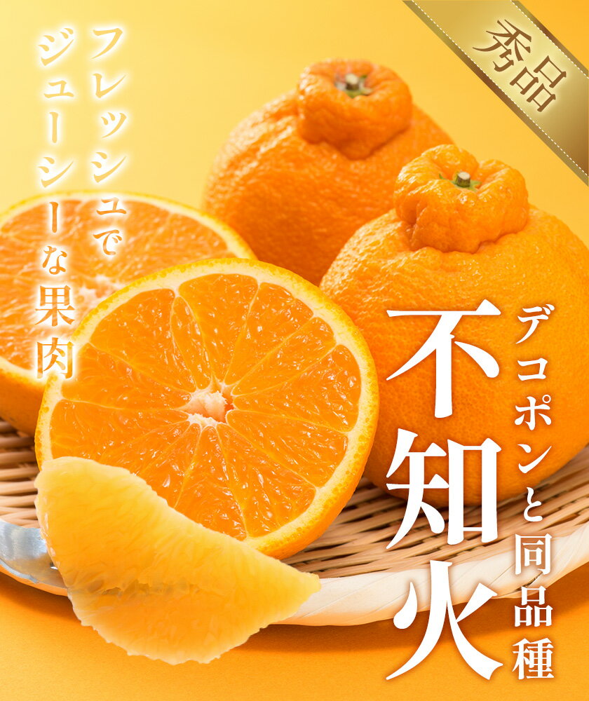 【ふるさと納税】不知火 デコポン 同品種 選べる 内容量 約2kg～約5kg 日本フルーツ株式会社 熊本県 荒尾市 《1月下旬-2月末頃出荷予定》 デコポン 果物 秀品 フルーツ スイーツ デザート ギフト ご贈答 サムネイル2